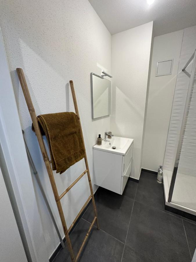 Appartement Atypique Proche Gare/ Dans L'Hyper-Centre Spacieux Pour 6P Au Coeur De Mulhouse Exterior photo